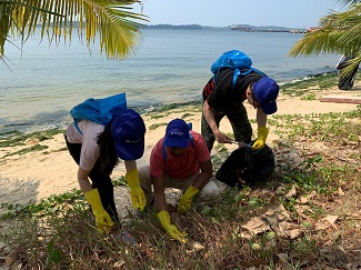 Clean-up Caravan 2019 SG 